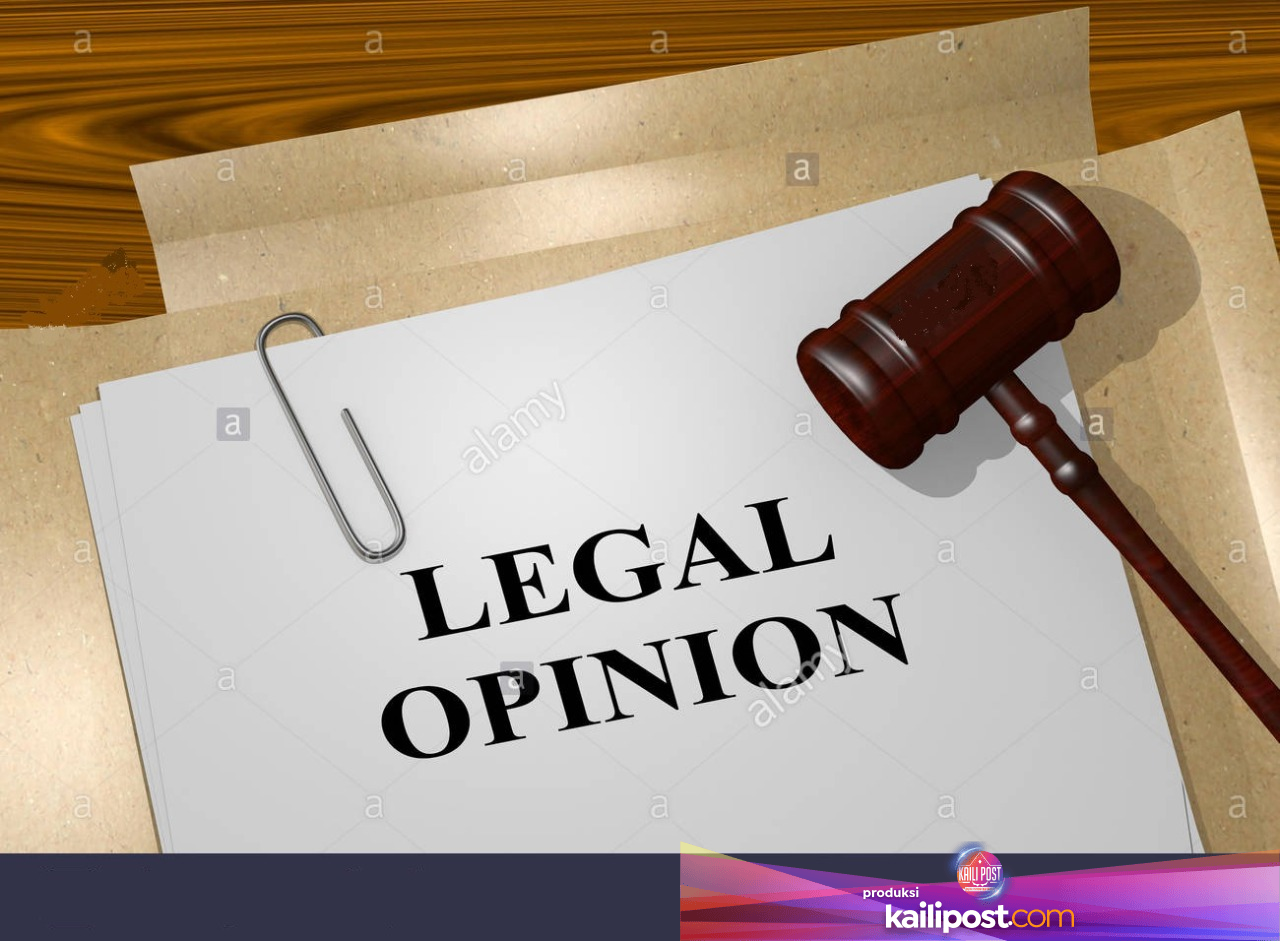 Apa Itu Legal Opinion