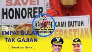 594f1112-ff28-4537-878c-55bbbde401b6