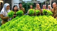 IMG_7396 Dinas Pangan Provinsi Sulawesi Tengah panen Salada sebagai upaya pemanfaatan lahan kosong di perkantoran. Nampak Kepala Dinas Pangan Sulteng Rohani Mastura dengan jajarannya. Foro/dinas pangan sulteng